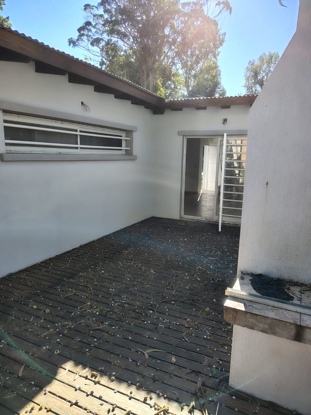 WhatsApp Image 2025-07-18 at 17.08.59 2.jpeg